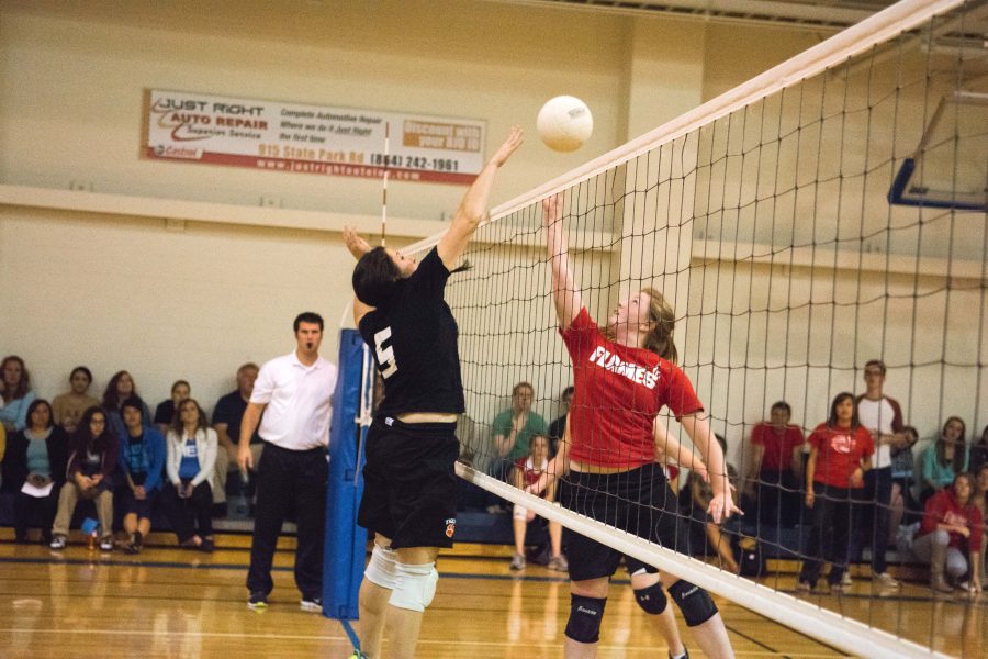 The Cardinals and the Colts went head-to-head in the volleyball semifinals.  Photo: Dave Saunders 