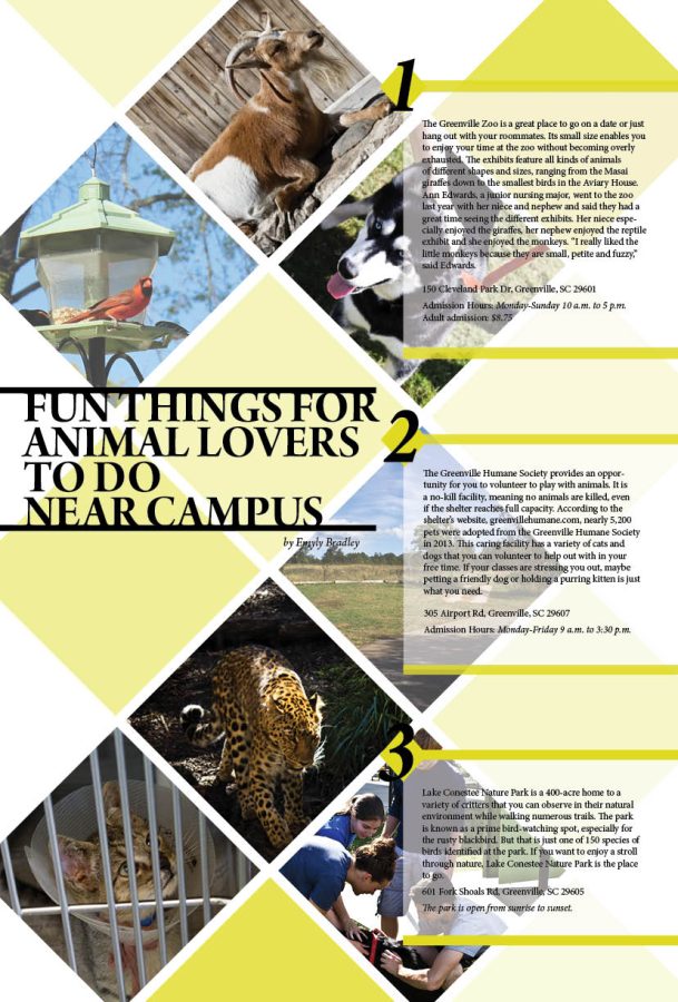 Photostory%3A+Fun+things+for+animal+lovers+to+do+near+campus