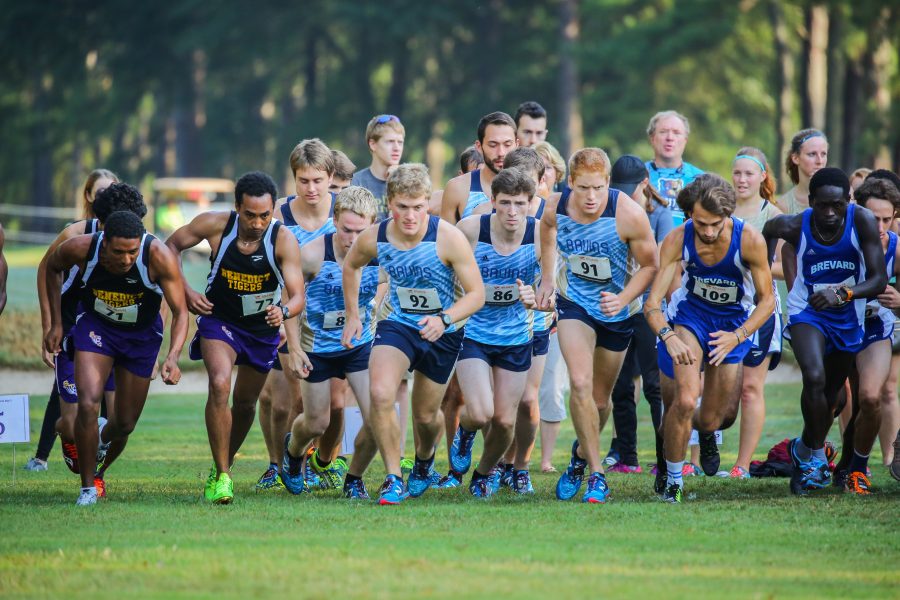 Photo of the Bruins Cross Country comptetiion at Furman Univerity. Photo by Derek Eckenroth, 2016