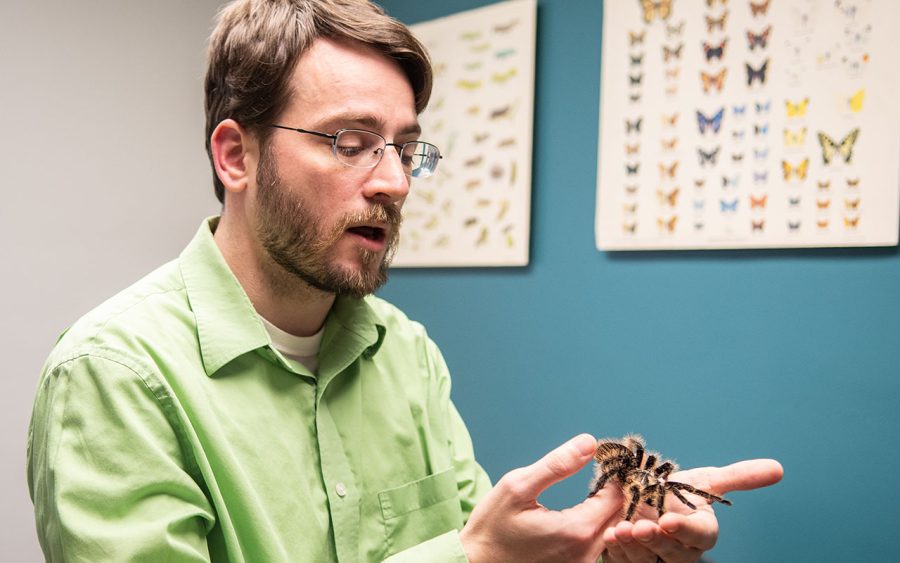 David McKinney holds one of his spiders, BJU, Greenville, SC. Collegian 32.13 (Rebecca Snyder)