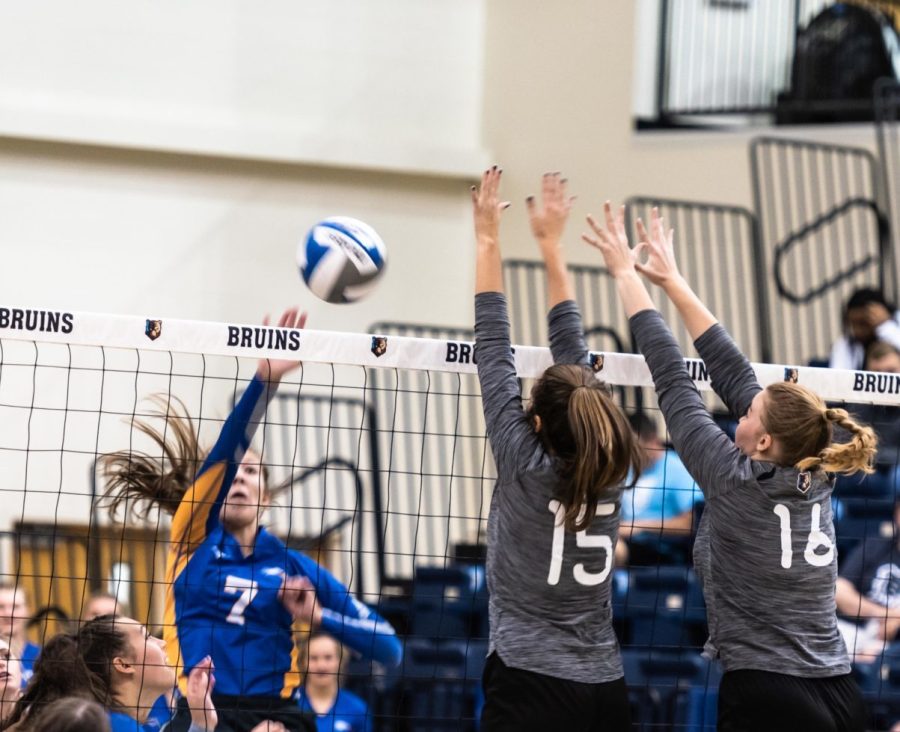 The Bruins defeated their rivals, the Pensacola Christian College Eagles, in front of an enthusiastic crowd of BJU fans on Sept. 24. 
Photo: Lindsay Shaleen