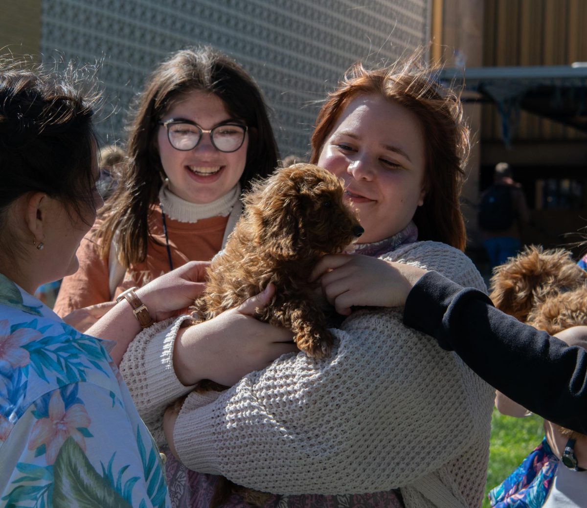 Crockett Doodle puppies provide a cute break from classes.