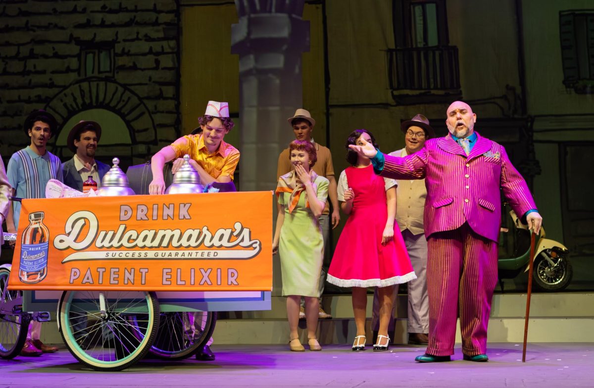 Adelmo Guidarelli as Dulcamara